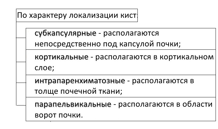 Типы кисты почек. Кисты почек классификация по локализации. Кисты почек Босняк классификация. Кисты почек на УЗИ классификация. Классификация кист почек по расположению.