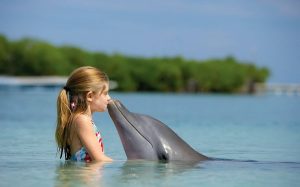 Дельфиндік терапия