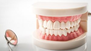 Зубные протезы и уход за ними