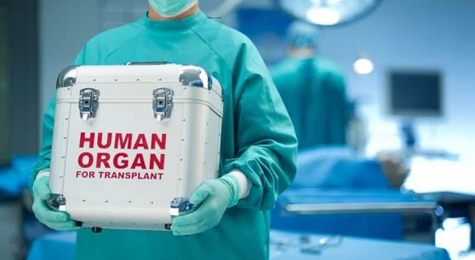 Трансплантация органов в Турции и Индии