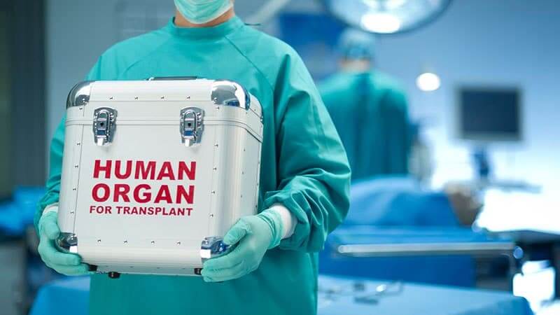 Түркия мен Үндістанда органдарды трансплантациялау