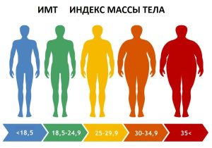 Что такое индекс массы тела (ИМТ)?